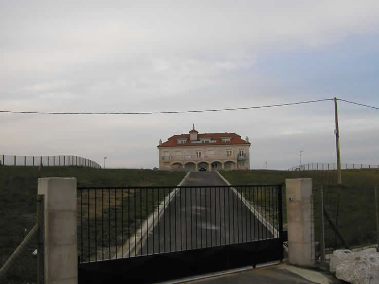 the owner of this mansion wasn't cleaning