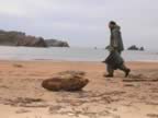 beach fun (40kb)