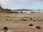 P2010030.jpg (62kb)