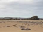 P2010038.jpg (48kb)