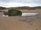 P2010054.jpg (65kb)