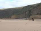P2010073.jpg (47kb)