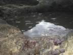 P2010075.jpg (118kb)