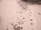 P2010086.jpg (82kb)