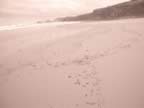 P2010088.jpg (44kb)