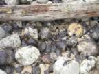 P2010094.jpg (141kb)