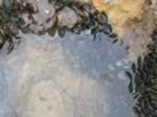 P2010100.jpg (115kb)